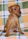 РВ Энигма-19.02.11